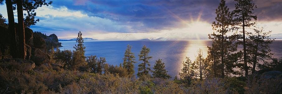 NevadaRecovery's profile banner image