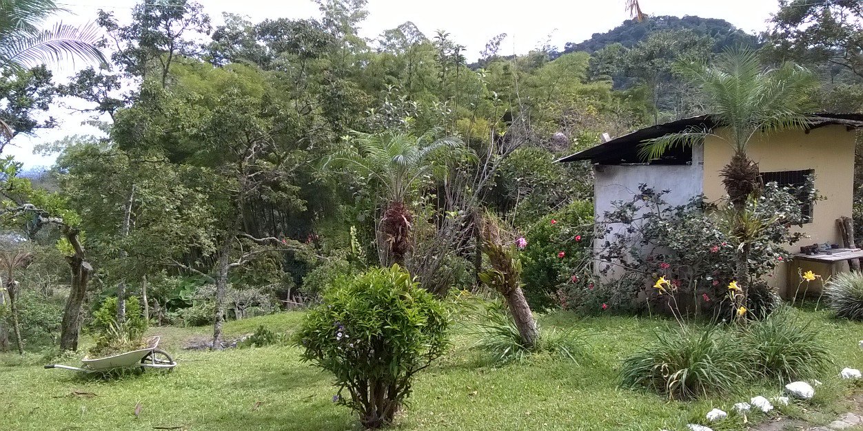 Dalegama's profile banner image