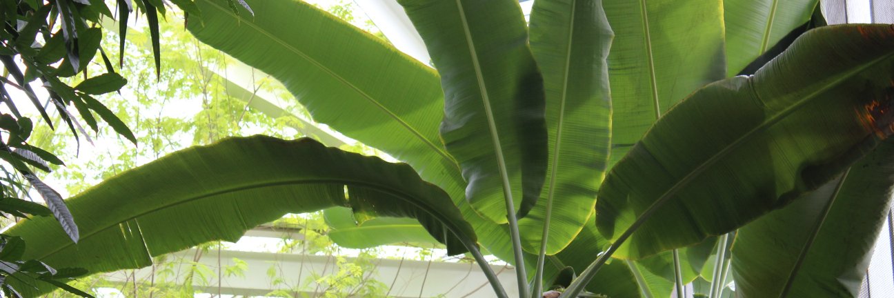amandacdiary's profile banner image