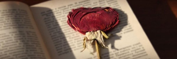 albayrakdidemm Profile Banner