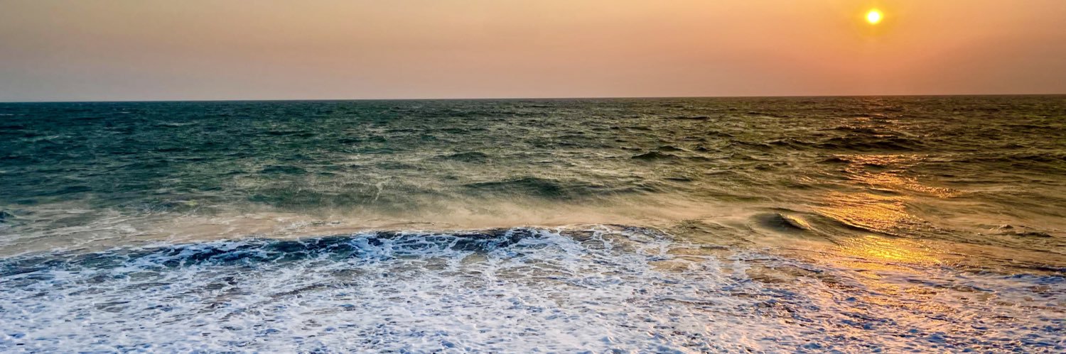 Denis Saavedra banner