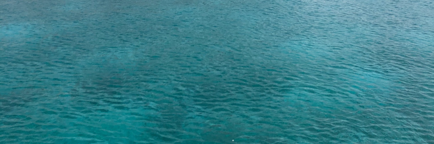 98anaceci's profile banner image