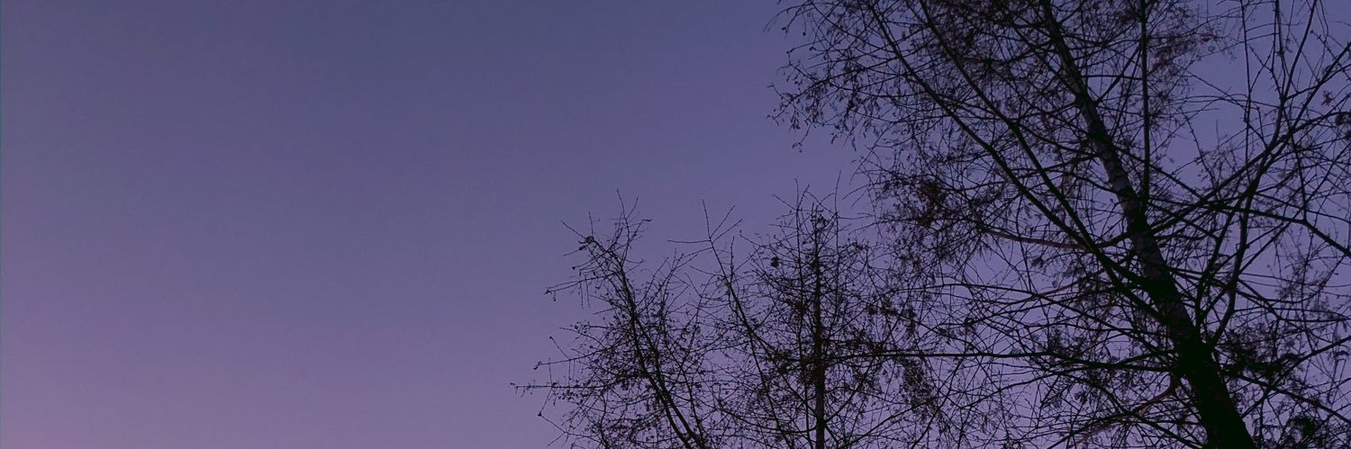 arisaputrir's profile banner image