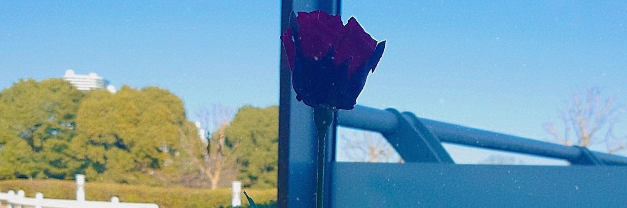 珠子＠5/5▶️東2つ79ｂ banner