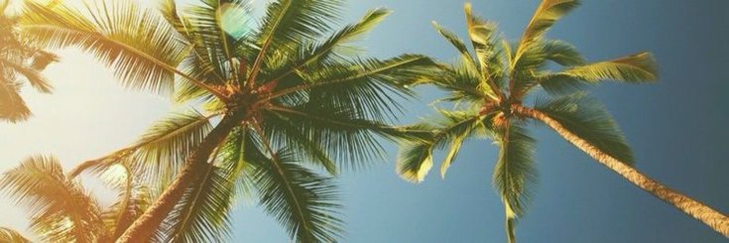 erixbo_o's profile banner image