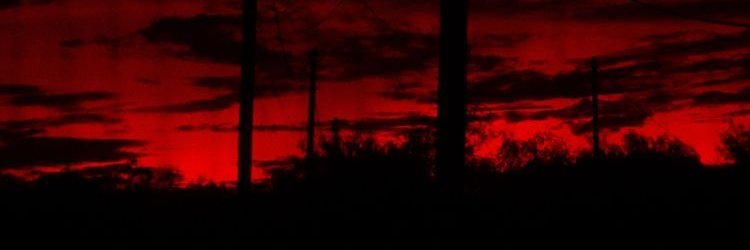 ❤️ Robyn 🔪 banner