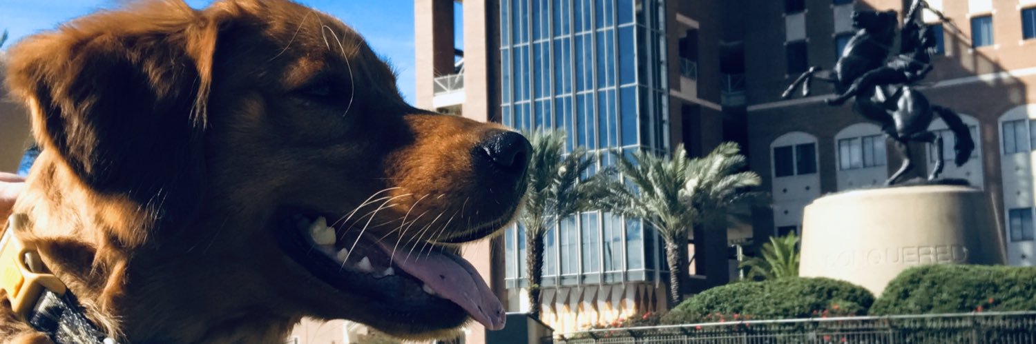 DevinFSU's profile banner image