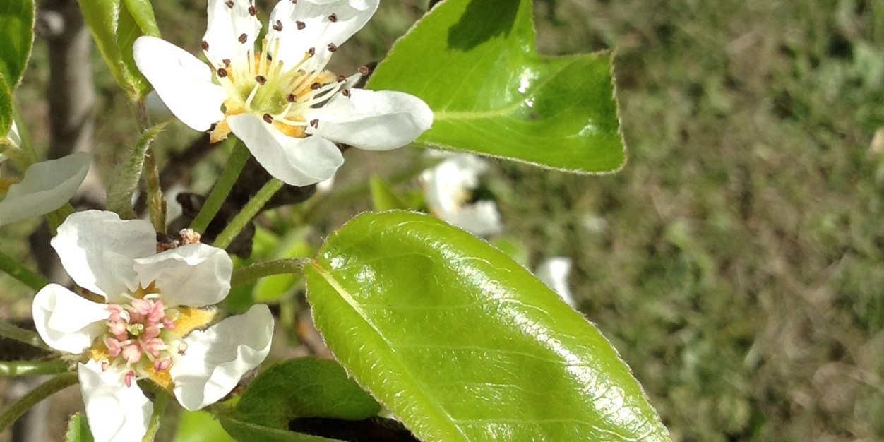 andinopaula's profile banner image