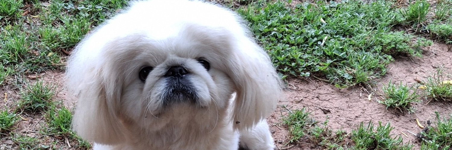 J Scott Griffith banner