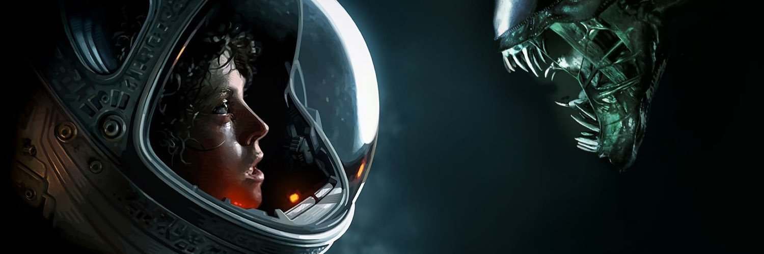 Jen’s Back, Y’all banner