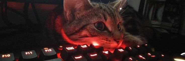 stormy🍷 banner