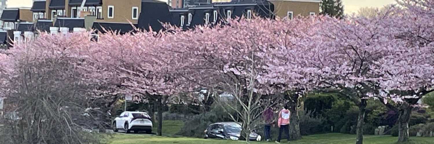 Yvrscribe's profile banner image