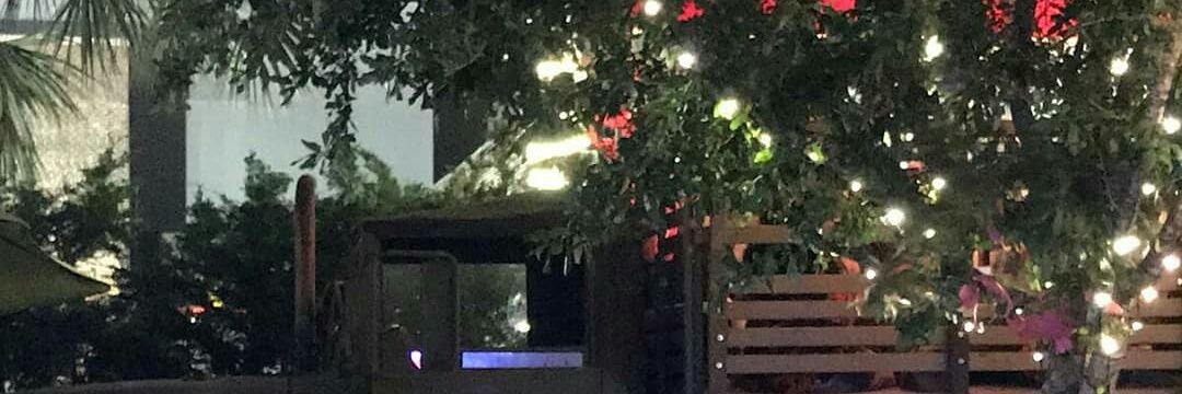 Rosmelis Contreras banner