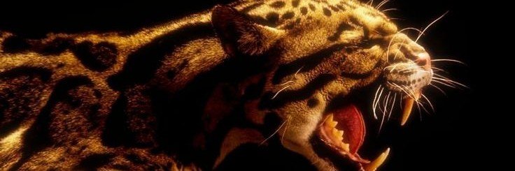 TH3FORBIDDENEVE's profile banner image