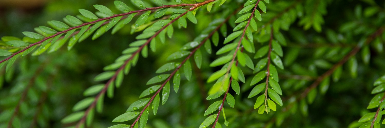 Bùi Lê Minh banner