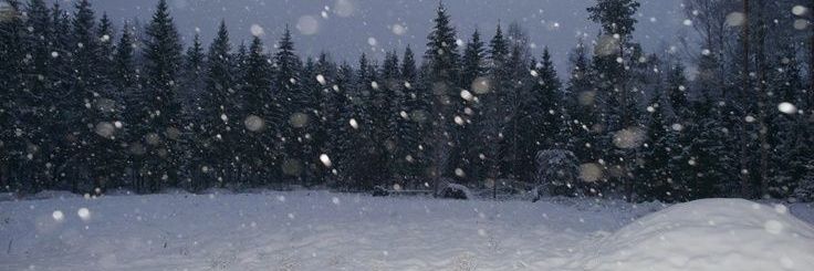 Nova_H10's profile banner image