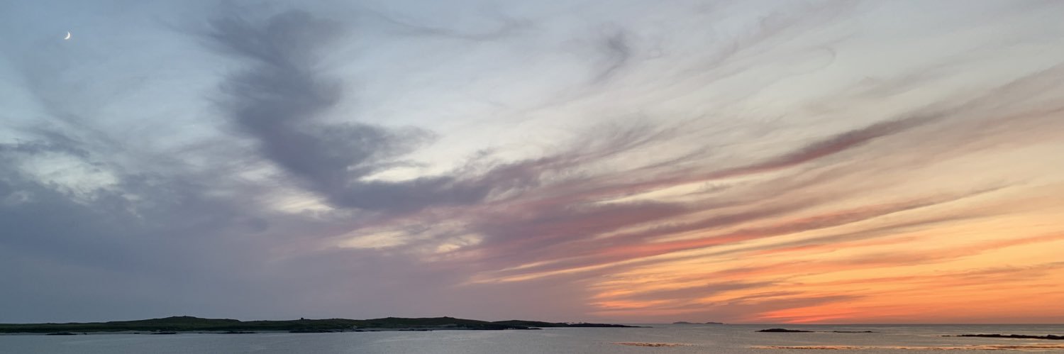 robynsweeney's profile banner image