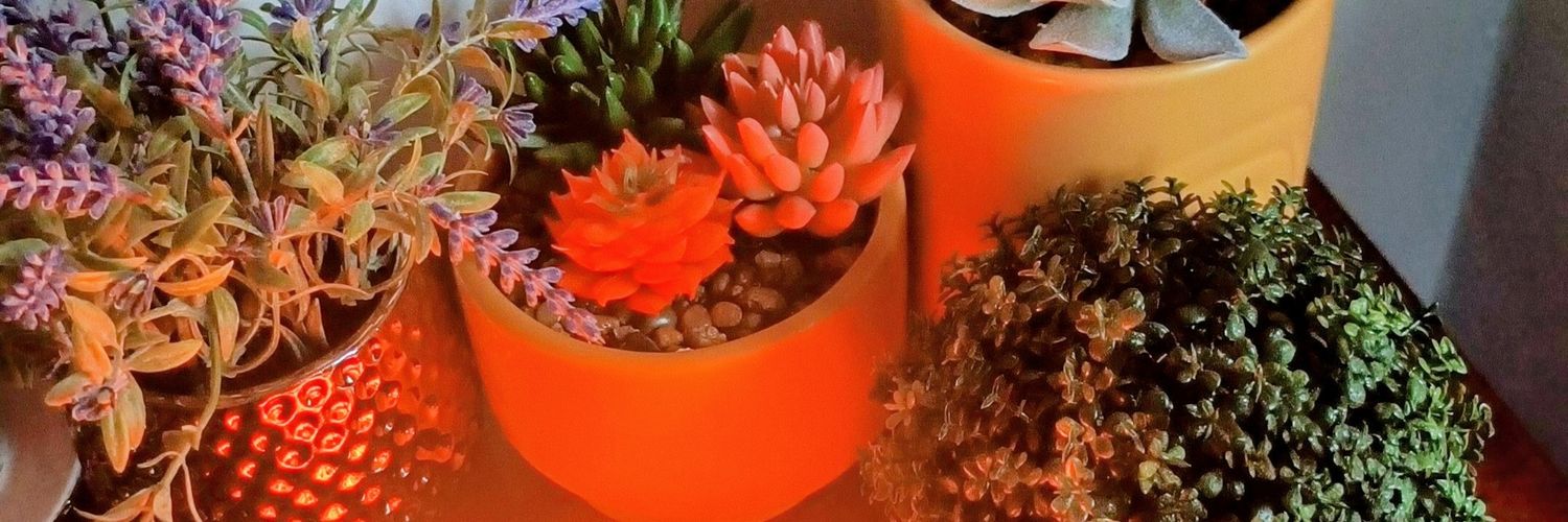 patapie's profile banner image