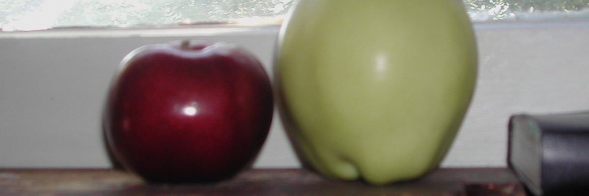 ✛riki banner