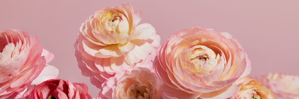 Christyy_luvs Profile Banner