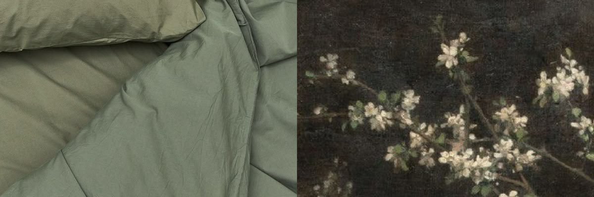 lydia ∘˙ ✶ banner