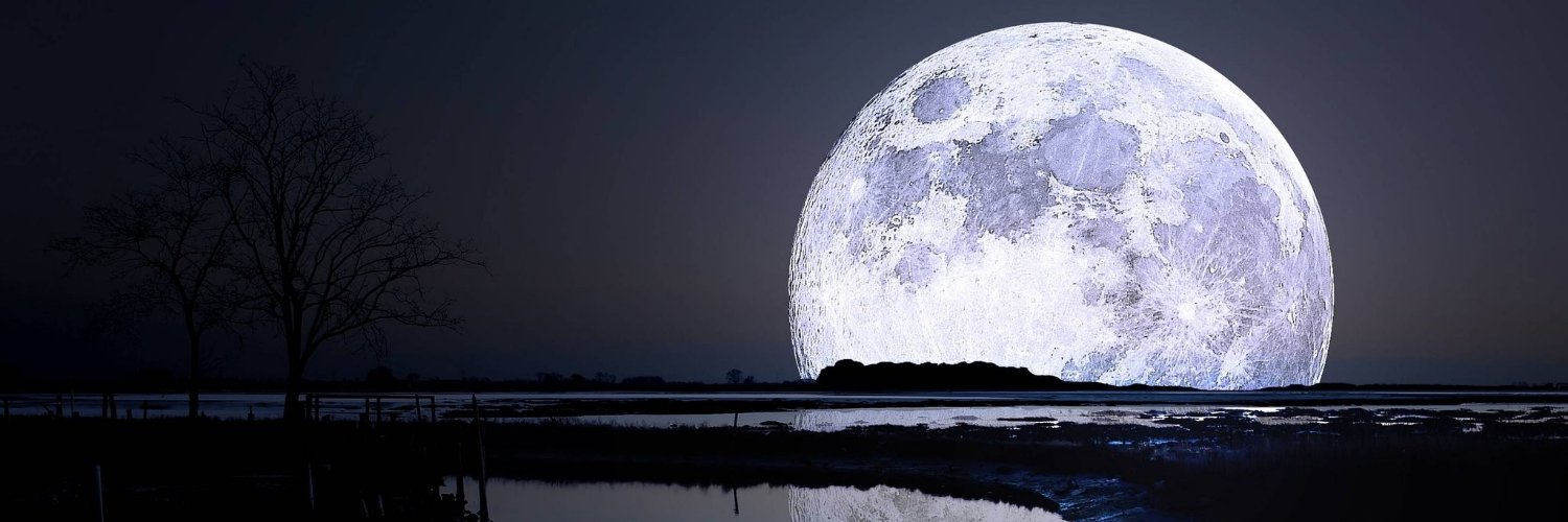 Aussieprincess0's profile banner image