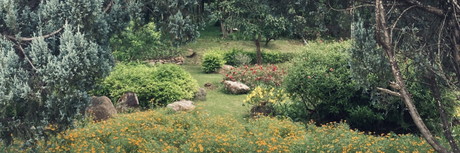 asmeowg 💚🧡 banner