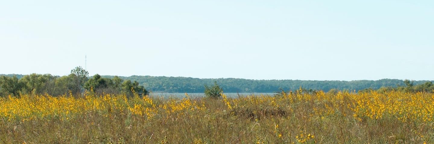 HadleyGraceee's profile banner image