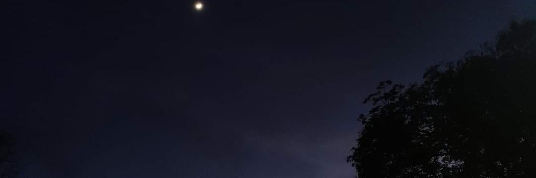AVGV25's profile banner image