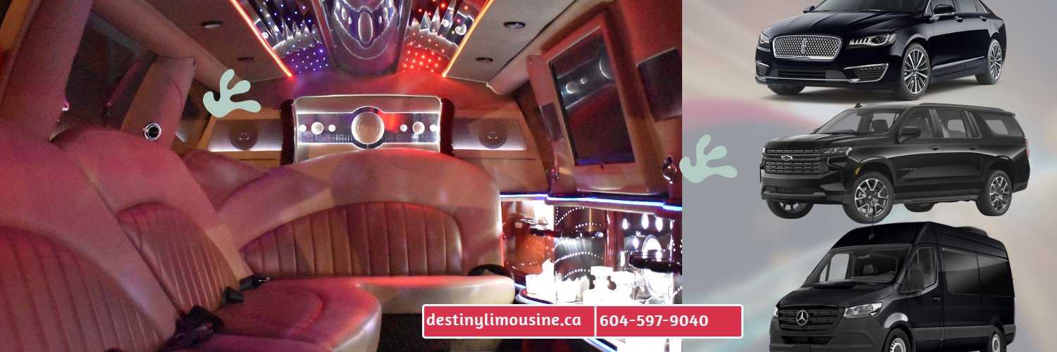 destinylimo's profile banner image