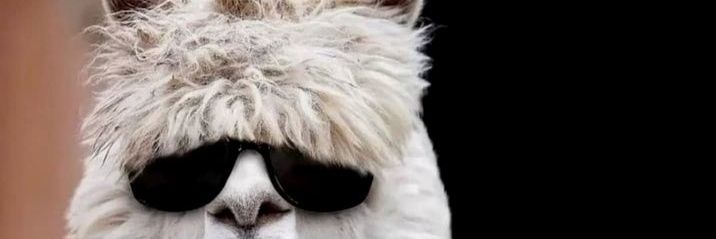 Antonelasch's profile banner image