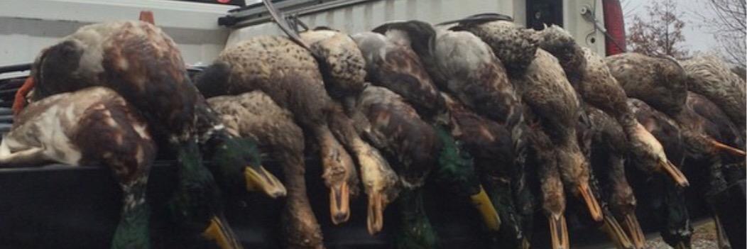 summitt19's profile banner image