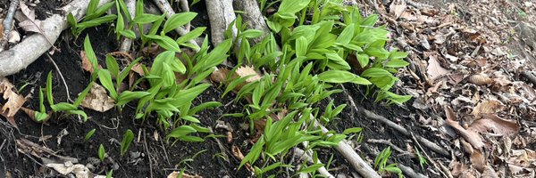 rs_gom Profile Banner