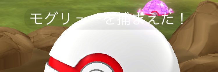 ponta banner