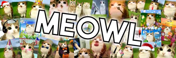 meowl_cto Profile Banner