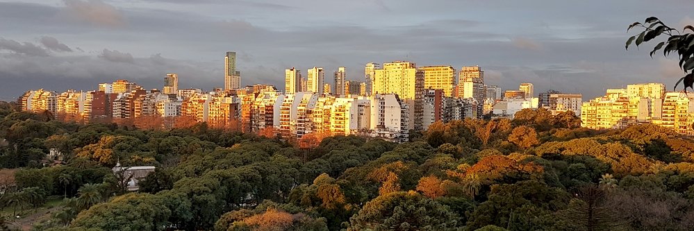 OM Personal English banner