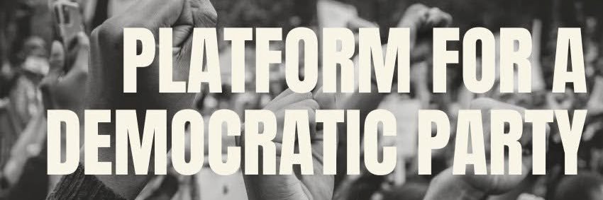 Platform for a Democratic Party banner