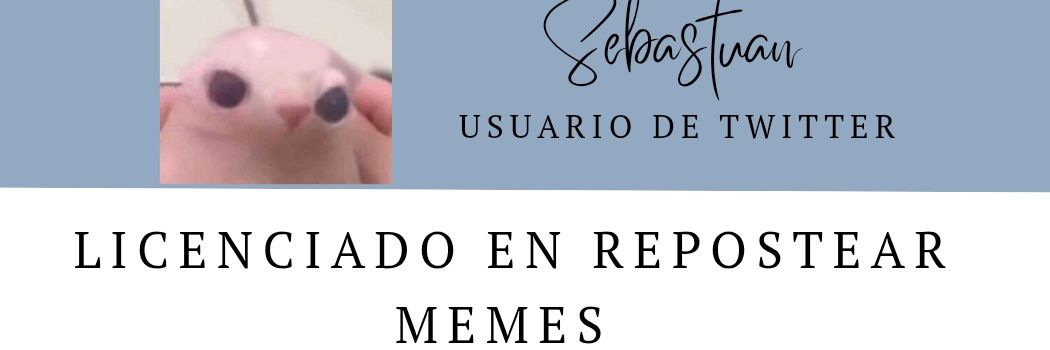 Sebastian banner
