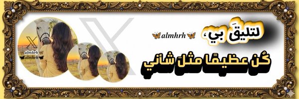 swq16p Profile Banner