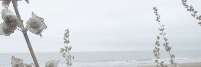 jjjs04's profile banner image