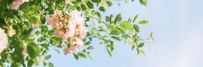 rifabby's profile banner image