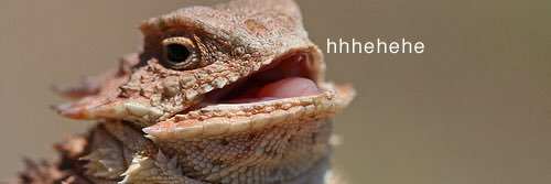 jake h banner