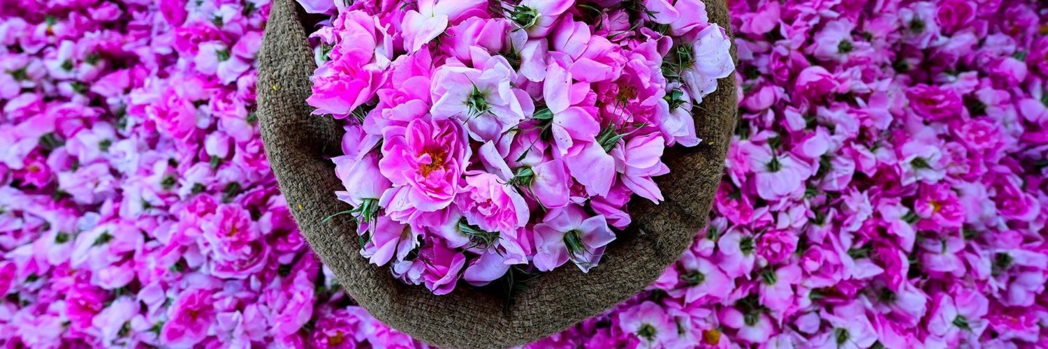 Wardal | وردال banner