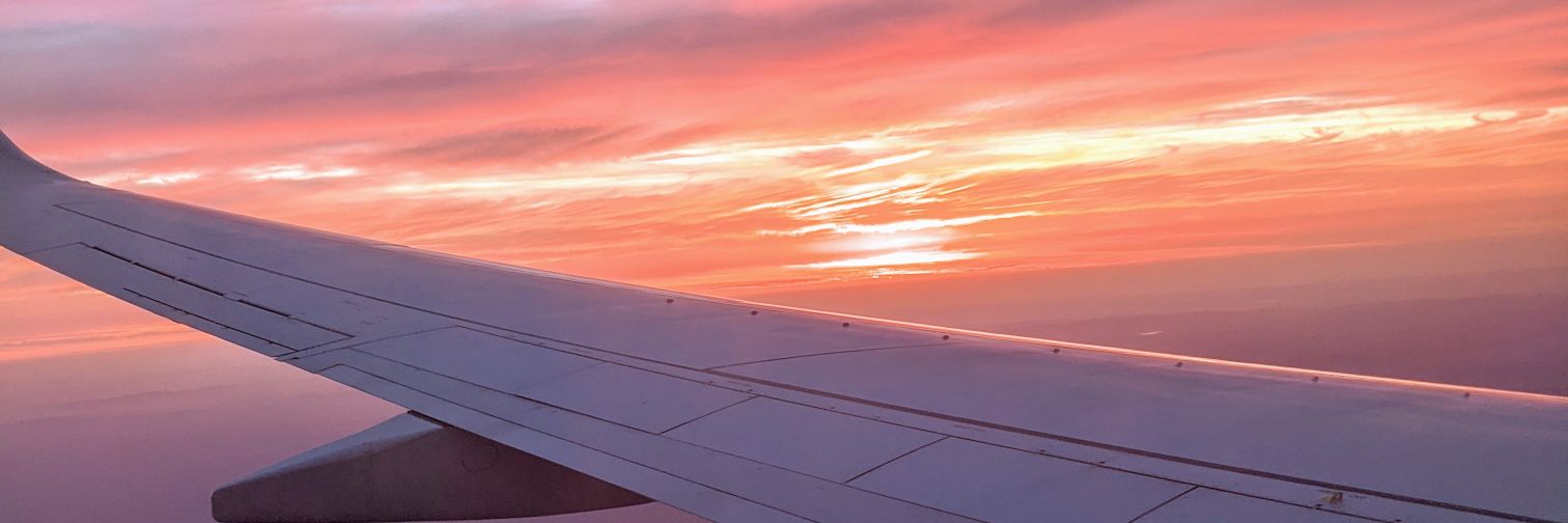 Mark Wolfe 🐺 banner