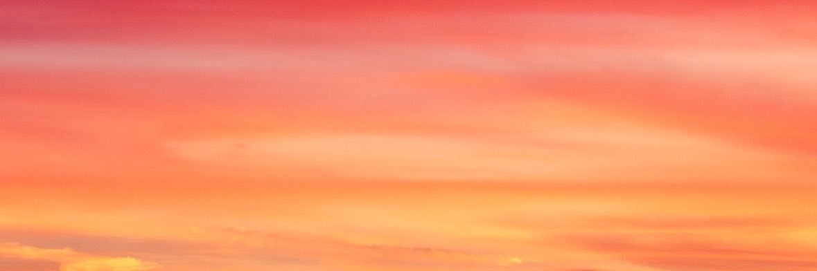 Purple purgatory banner