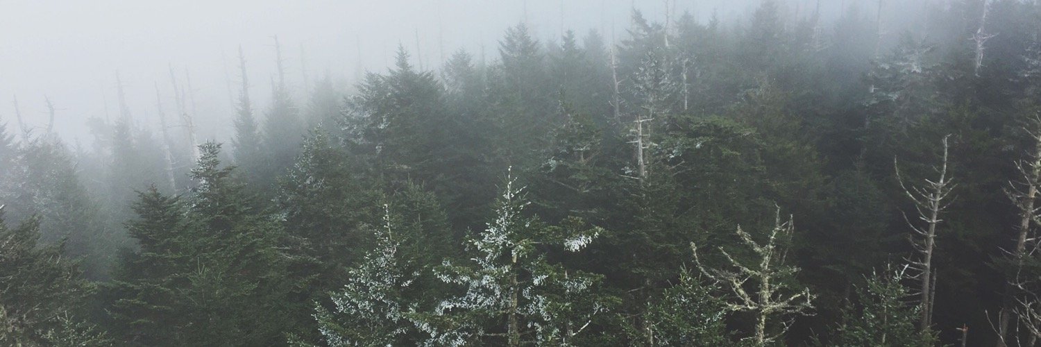 lindswhy's profile banner image