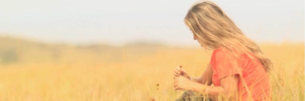solleyton's profile banner image