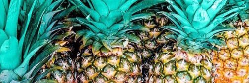 bamfinster's profile banner image