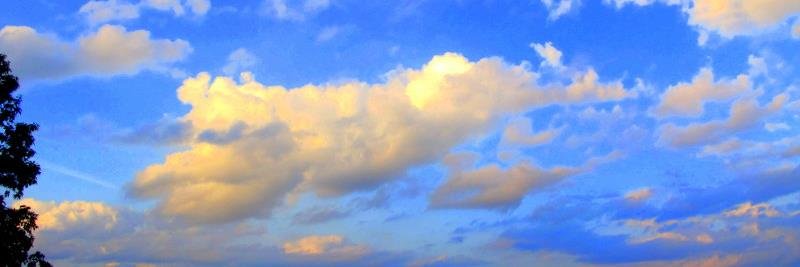 JenniferHFrye's profile banner image