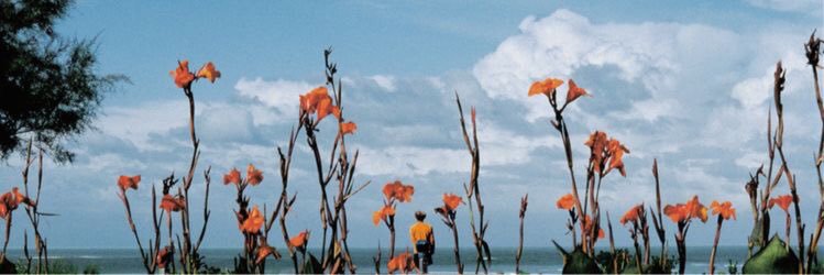 ✨ babyshamble ✨ banner